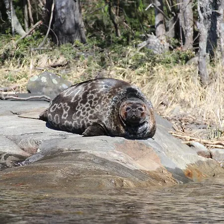 Tallusniemi Villas Oravi